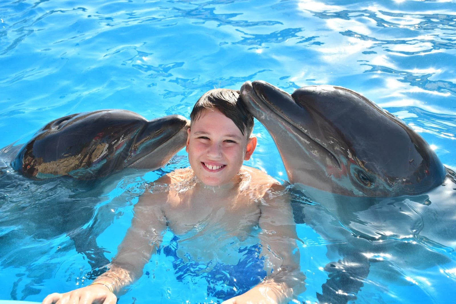 Dolphin